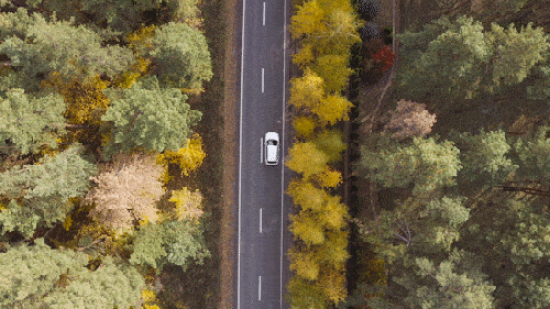car object removal on video fx
